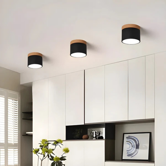 Vintage Style LED Ceiling Light Fixture - Image 1