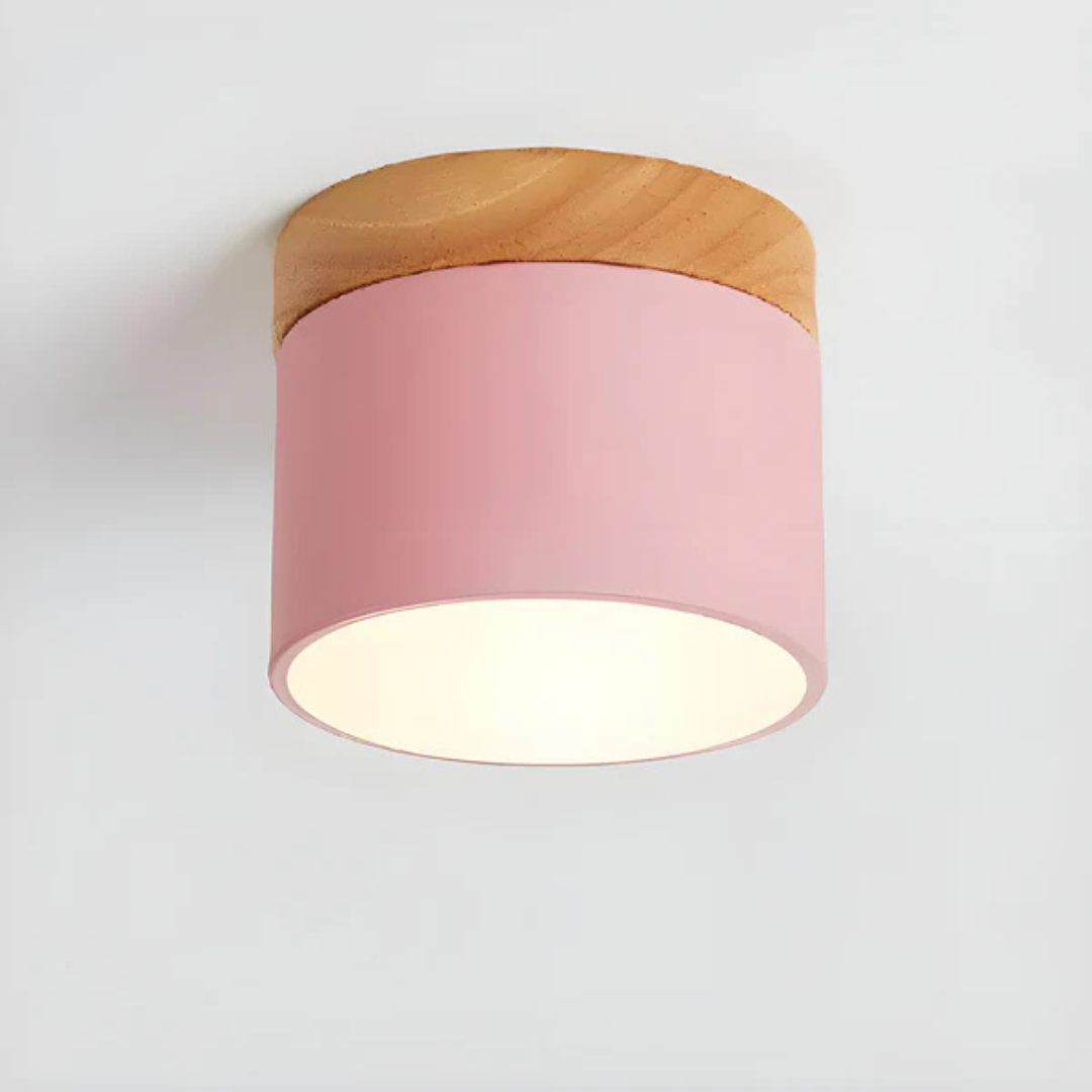 Vintage Style LED Ceiling Light Fixture - Image 11