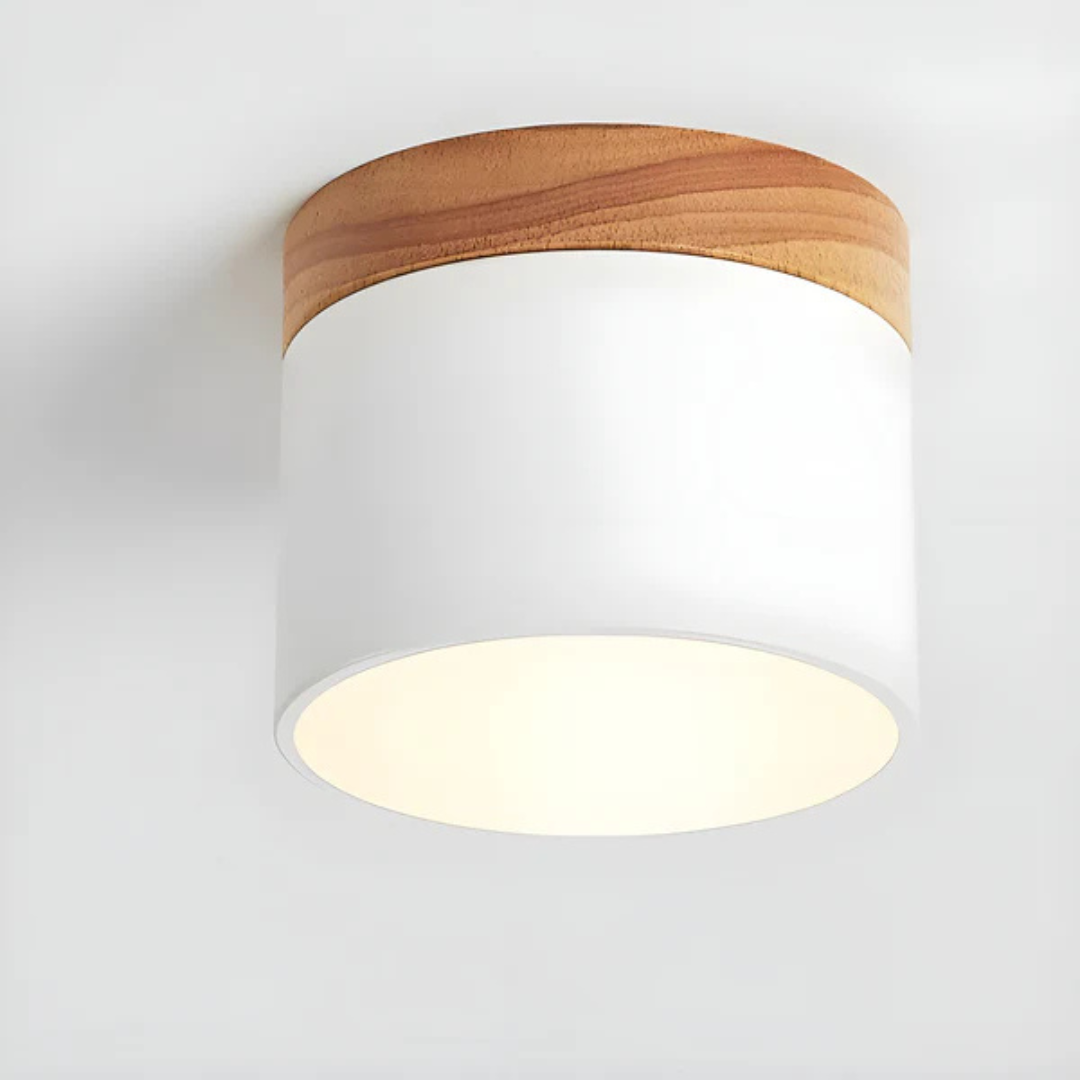 Vintage Style LED Ceiling Light Fixture - Image 12