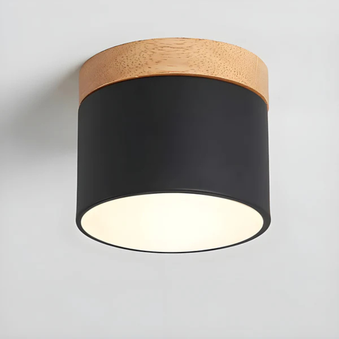 Vintage Style LED Ceiling Light Fixture - Image 13