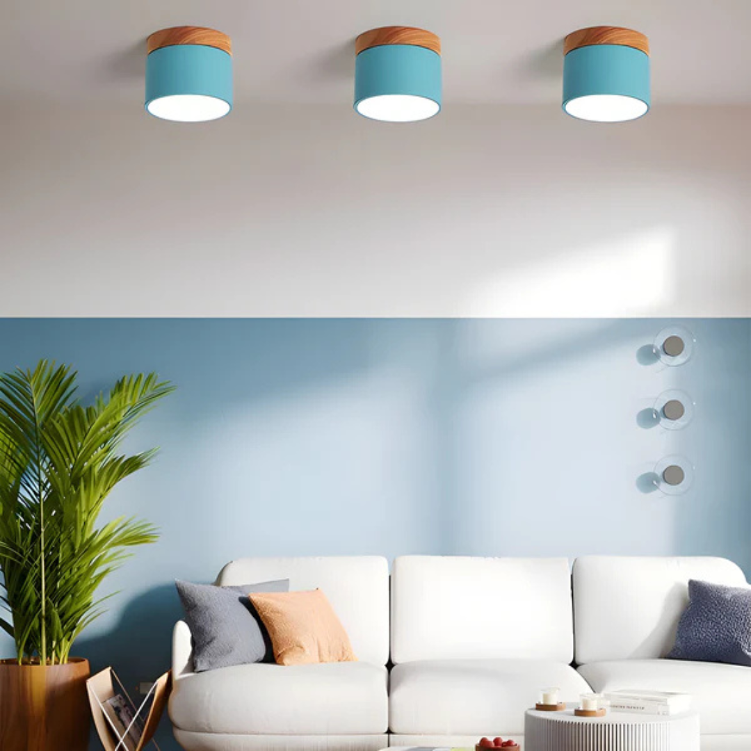Vintage Style LED Ceiling Light Fixture - Image 3