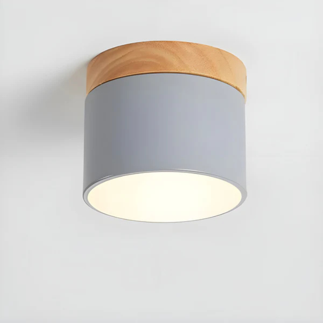 Vintage Style LED Ceiling Light Fixture - Image 8