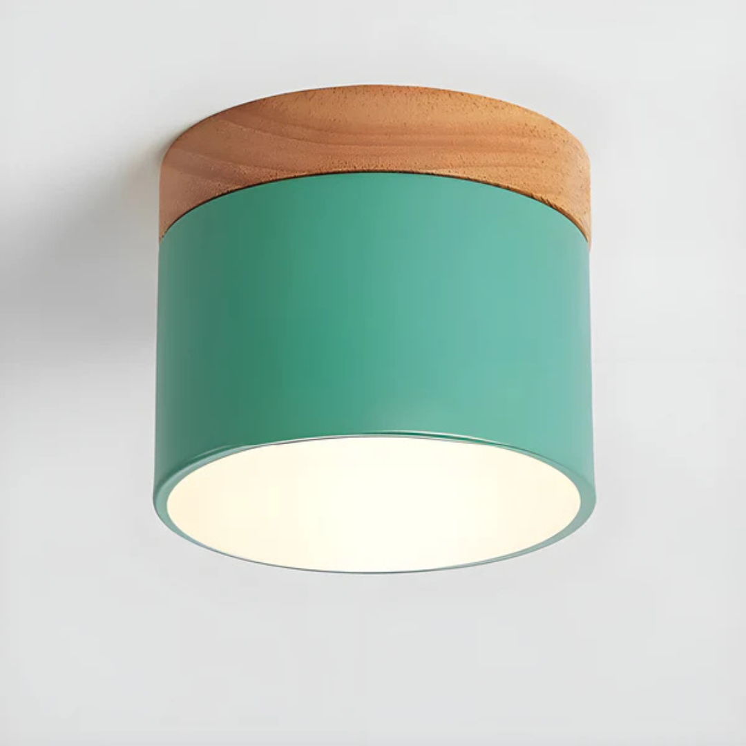 Vintage Style LED Ceiling Light Fixture - Image 9