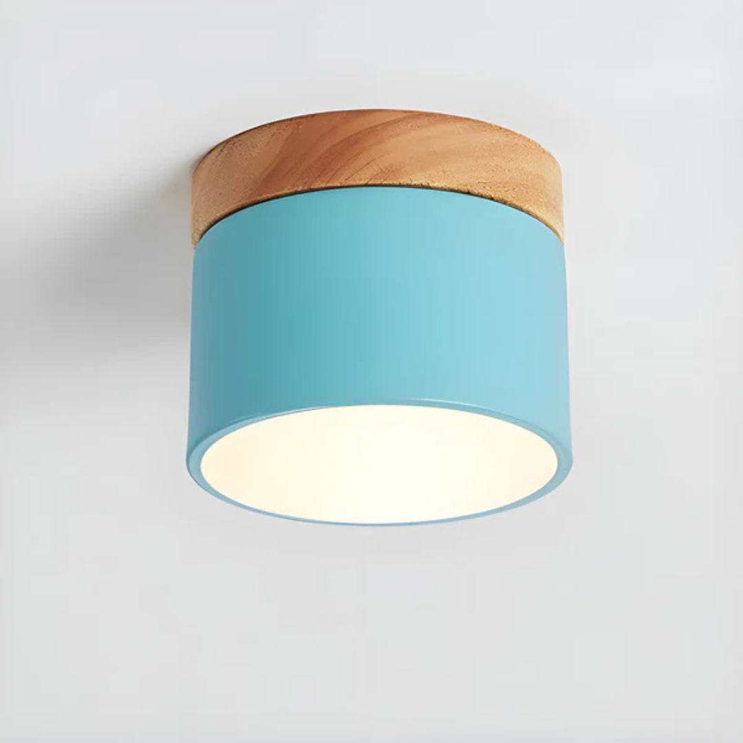 Vintage Style LED Ceiling Light Fixture - Image 10