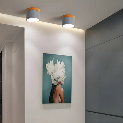 Vintage Style LED Ceiling Light Fixture - Image 2