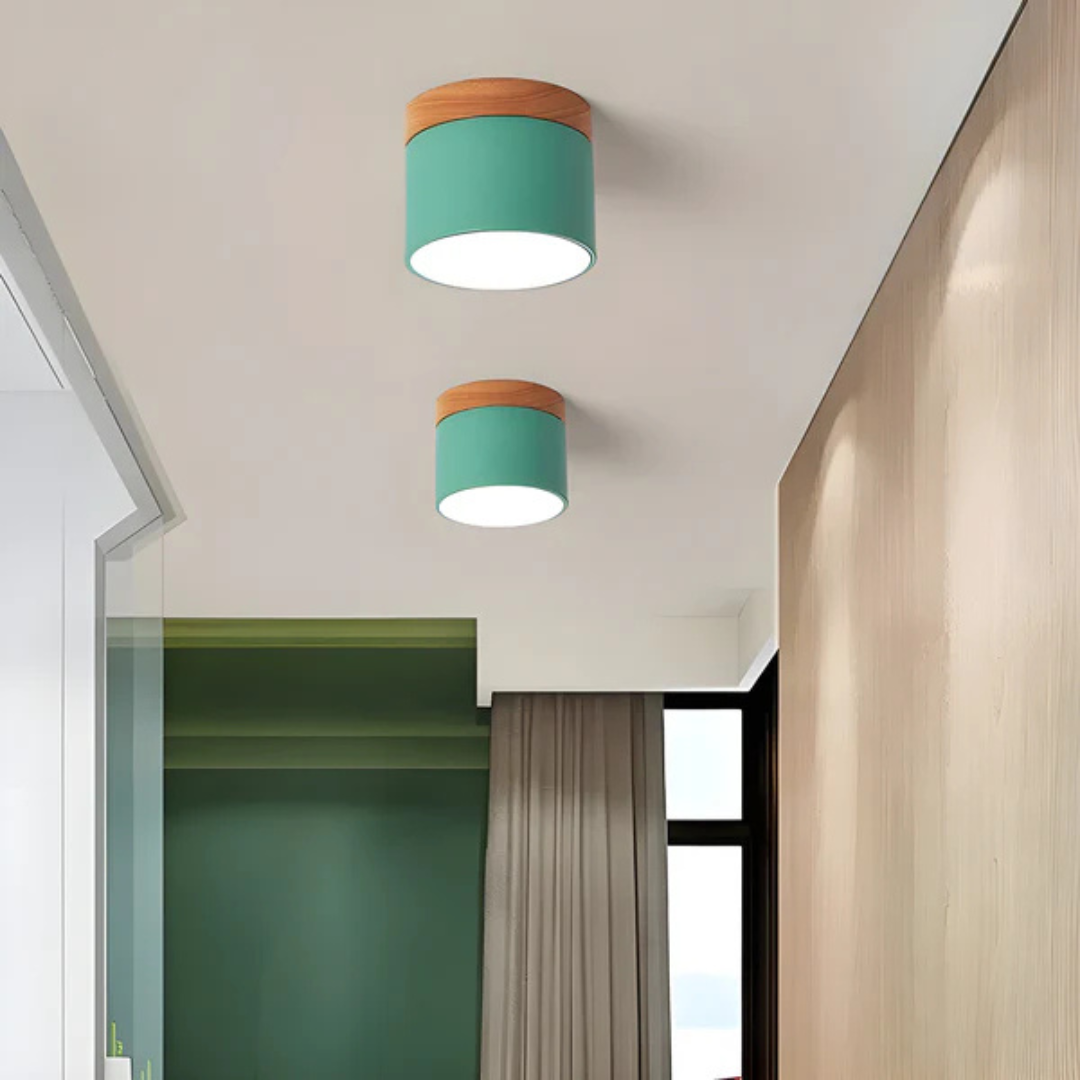 Vintage Style LED Ceiling Light Fixture - Image 4