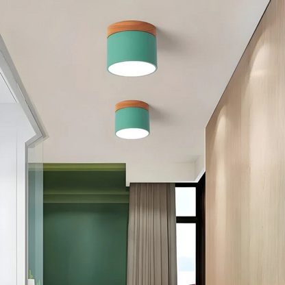 Vintage Style LED Ceiling Light Fixture - Image 4