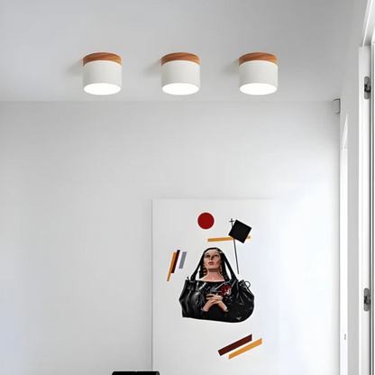 Vintage Style LED Ceiling Light Fixture - Image 5