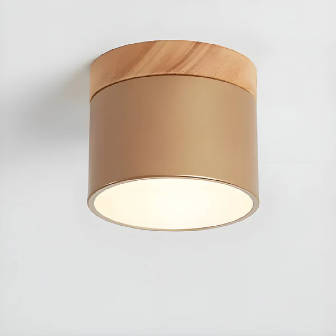 Vintage Style LED Ceiling Light Fixture - Image 7